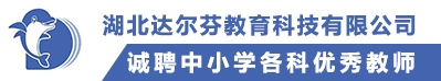 湖北達爾芬教育科技有限公司